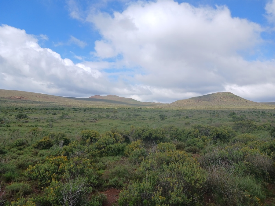 0 Bedroom Property for Sale in Richmond Rural Northern Cape